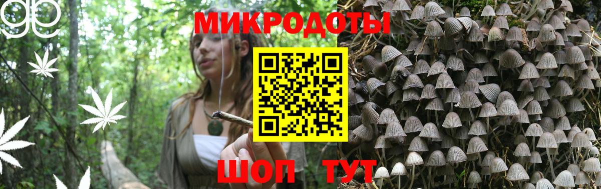 Псилоцибиновые грибы мухоморы Курчалой